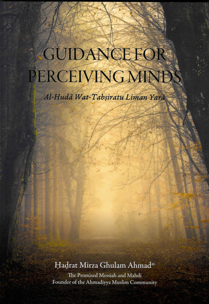 Guidance For Perceiving Minds